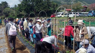 harunatudai10418_2.jpg