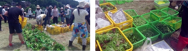 20150523_yama2.jpg