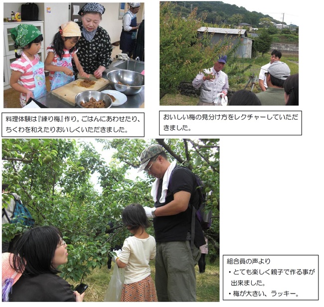 20150608_ume_1.jpg