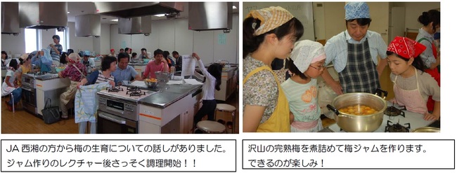 20150612ume_1.jpg