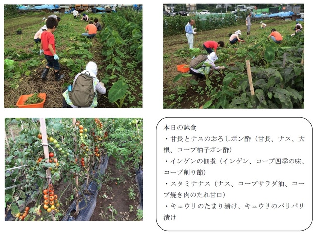 20150718_yamareport.jpg