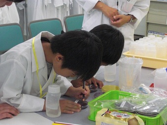 201500904_jikkan_biseibutu.JPG