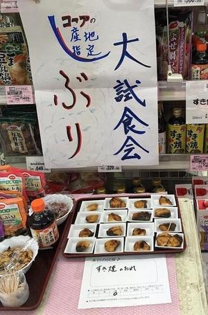170307_buri4.jpg