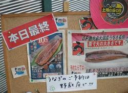 17unagi62_717.JPG