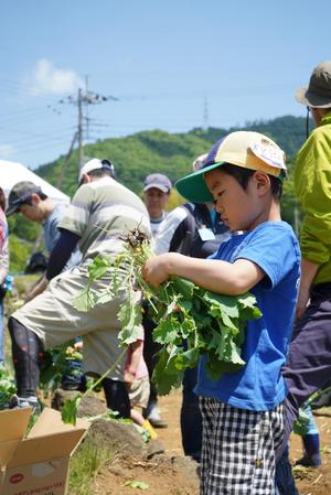 20180428yama5.jpg