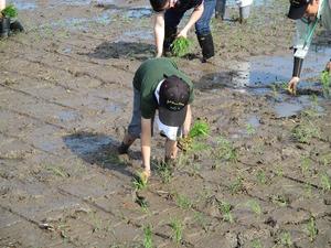 180526_taue3.JPG