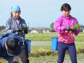 160516taue13.jpg