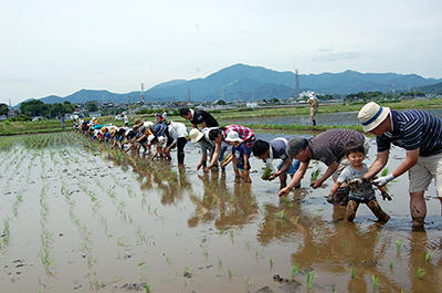 16_isehara_06_02.jpg