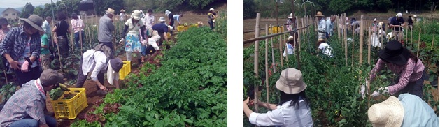 20150523_yama1.jpg