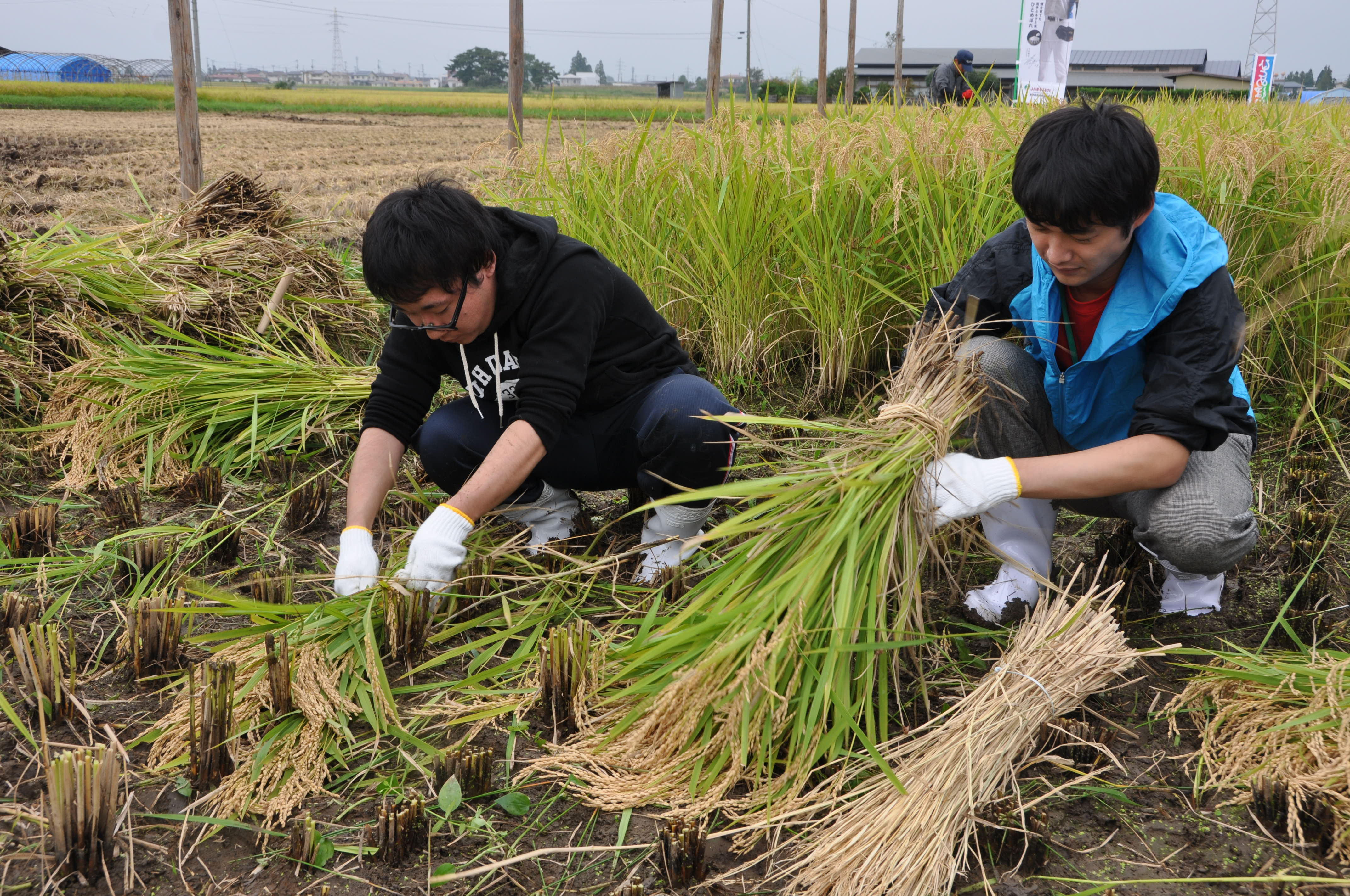 20160927_iwate_004-1.JPG