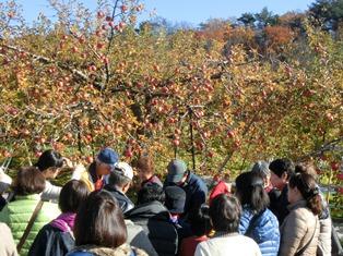 20181201_shizuoka_fukushima2.JPG