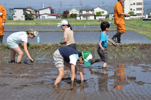 http://www.ucoop.or.jp/info/2012iwatetaue.jpg