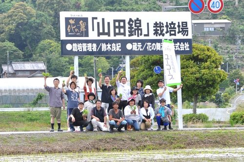 花の舞酒造で開発する日本酒用米山田錦の田植えをします