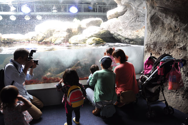 江ノ島水族館の取材です