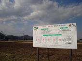 茶美豚飼料用米栽培田