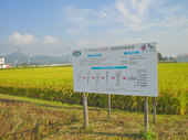 20110913m01.jpg