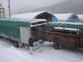 遠野市の友農場をたずねて