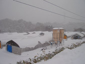 雪が降り積もり宮農場は真っ白です