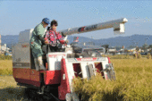 20111128ab08.gif
