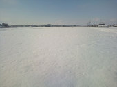 12/16未明からの連日の降雪により、田んぼは一面雪景色になりました。