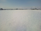 12/16未明からの連日の降雪により、田んぼは一面雪景色になりました。