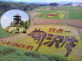 田んぼアート