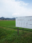 梅雨の晴れ間です
