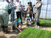 育苗ハウスでの見学風景