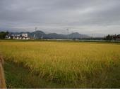 121006siryouyou2
