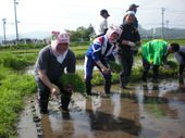 田植え体験1