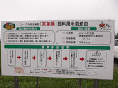 看板