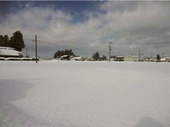 ふだんは雪降りです