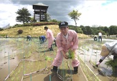 たんぼアートづくり