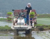 田植え機で一気に仕上げ 20150626