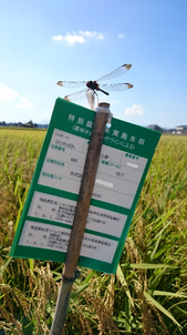 150915_tanbo7.png