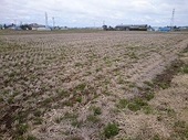 2016_4_14iwatetanbo1.jpgのサムネール画像