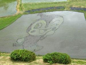 20160529_tanbo4.jpg