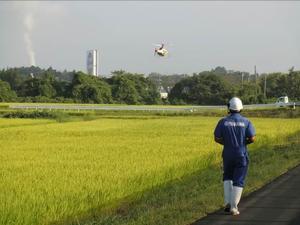 160822_iwatetanbo13.jpg