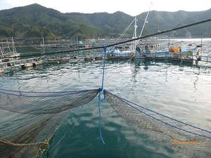 161114_sake4.jpg