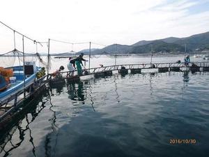 161114_sake5.jpg