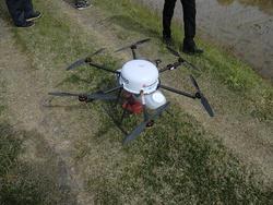 170509_tanbo2.jpg