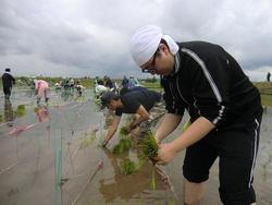 170528_tanbo2.jpg