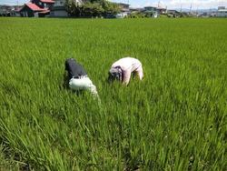 170726_iwate2.jpg