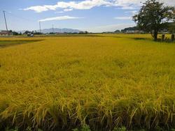 9_25iwate1.jpg