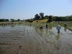 180603_iwate4.jpg
