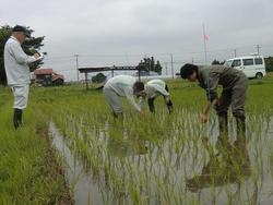 180615_iwate3.jpg