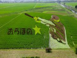 180718_iwate1.jpg