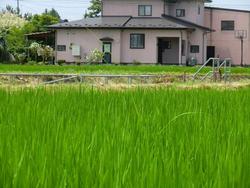 180725_iwate3.jpg
