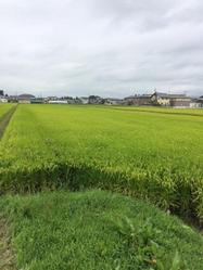180906_siryo1.jpg