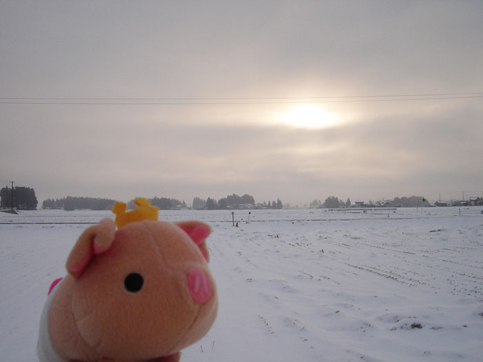 http://www.ucoop.or.jp/shouhin/shoku_shokuryo/sanchi/files/111230tya01.jpg